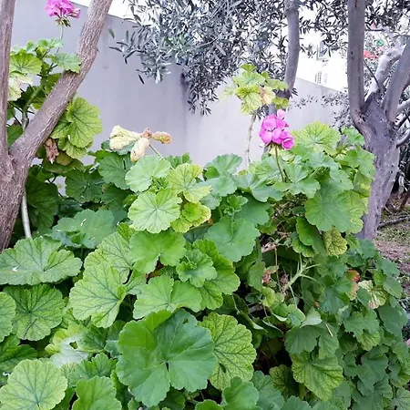 Appartement Beautiful Village House For Rent *